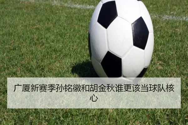 广厦新赛季孙铭徽和胡金秋谁更该当球队核心